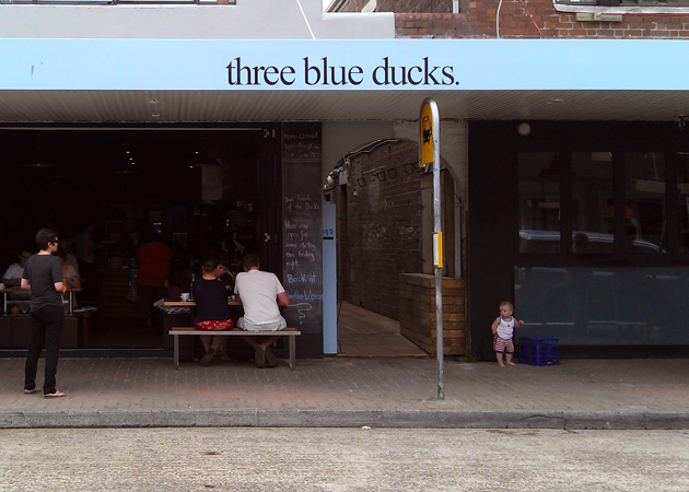 Three Blue Ducks
